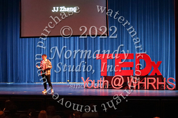WTG_TEDx_29
