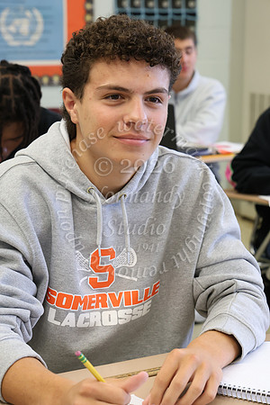 SVL_slc_042