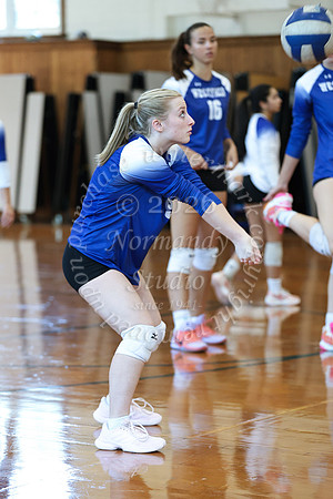 WHS_vb_g_-21