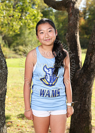 WAM_cc_g_ind-2