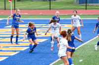 WHS_so-g_04