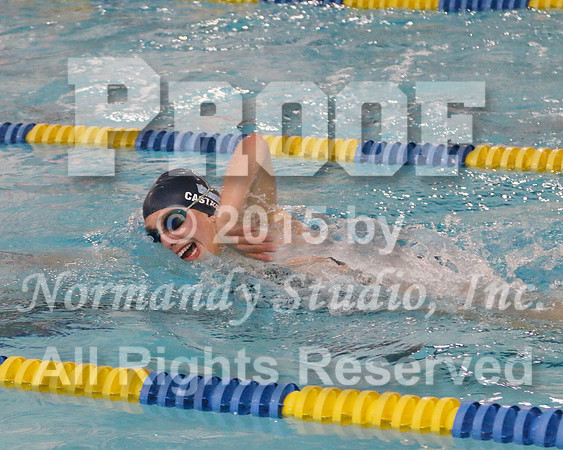 WMC_033_sw-g