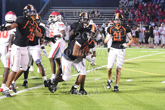 SVL_fb_55