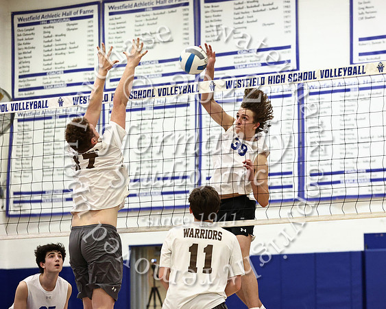 WHS_vb_b_v_60