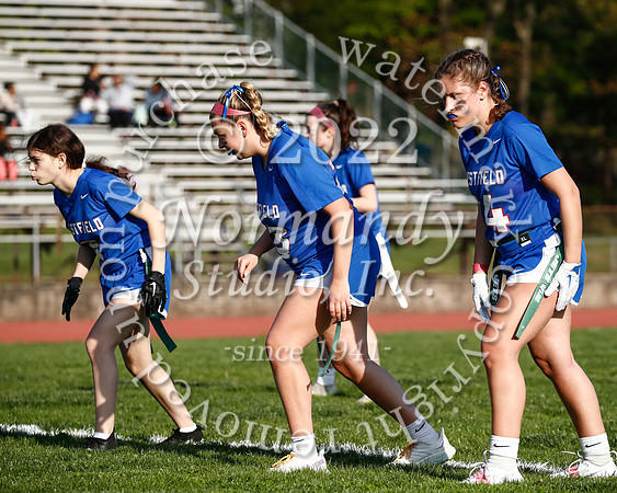 WHS_flag_fb_67