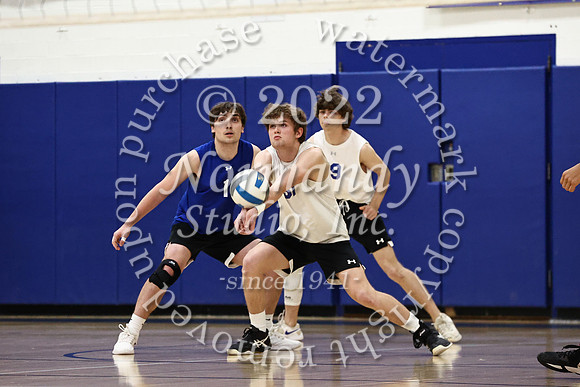 WHS_vb_b_v_61