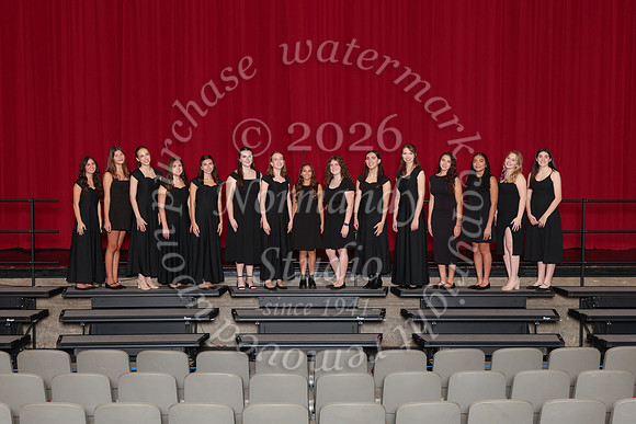 CHS_gala_groups_19