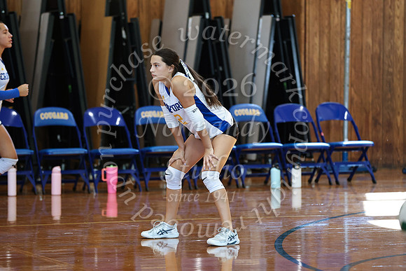 CHS_vb_g_-24