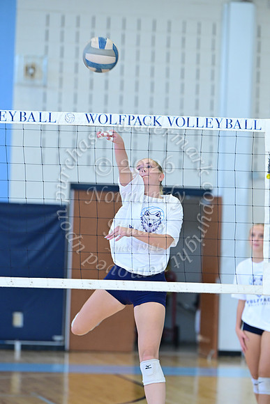 WMC_vb-g_14