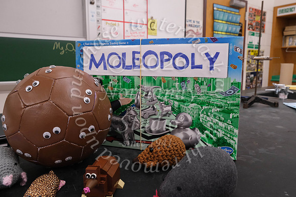 WHS_mole day_04