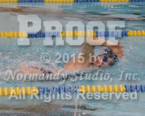 WMC_050_sw-g