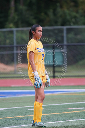 CHS_so-g_07