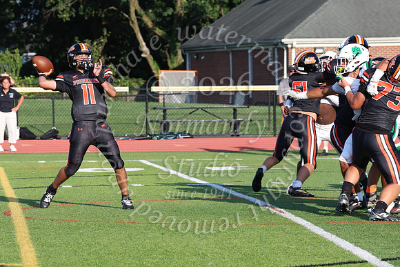 SVL_fb_044