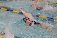 WMC_003_sw-g