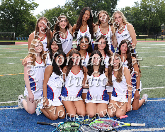 WHS_tn-g-v-t_316