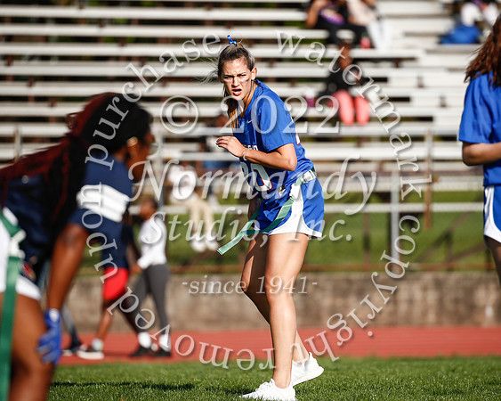 WHS_flag_fb_69