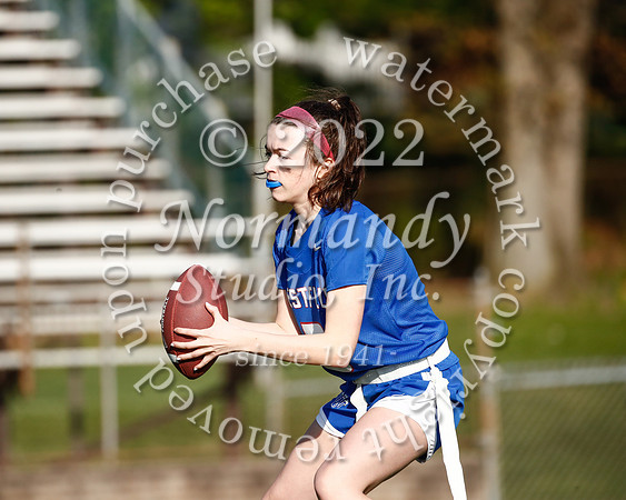 WHS_flag_fb_58
