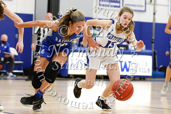 WHS_31_bb-g