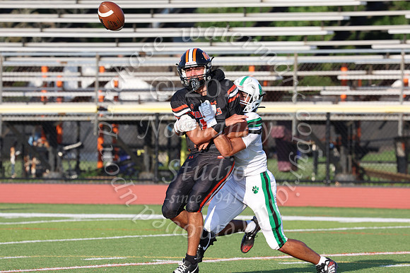 SVL_fb_064