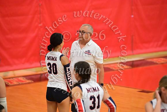MSM_vb_35