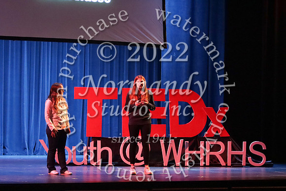 WTG_TEDx_51