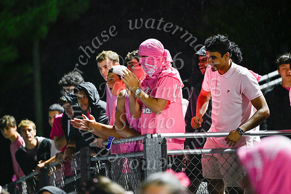 SPF_fans_28