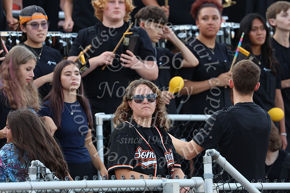 SVL_mb_in_stands_38
