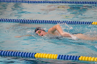 WMC_017_sw-g