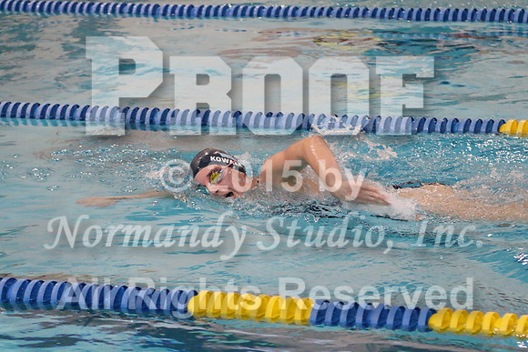 WMC_017_sw-g
