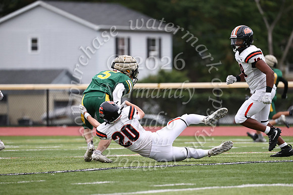 SVL_fb_jv-33