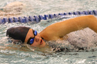 WMC_196_sw-g