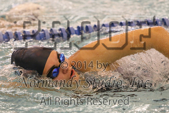 WMC_196_sw-g
