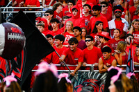 JTH_fans_19