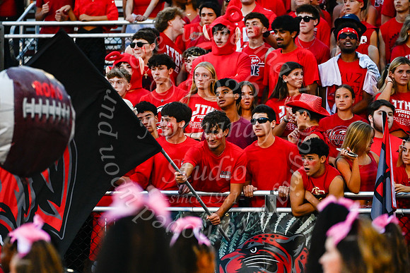 JTH_fans_19