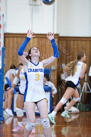 CHS_vb_g_-43