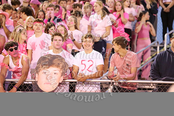 DVH_fans_24