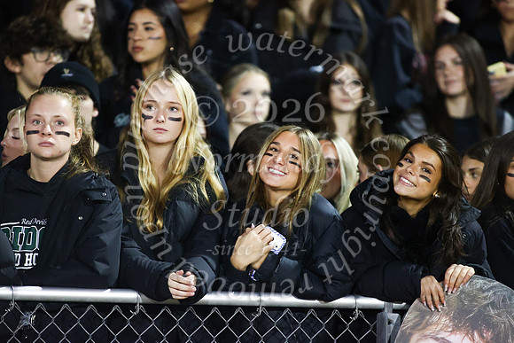 RDG_fb_fans_9