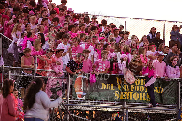 DVH_fans_29