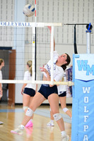 WMC_vb-g_15