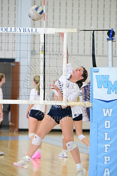 WMC_vb-g_15