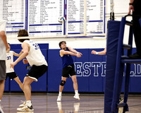 WHS_vb_b_v_21