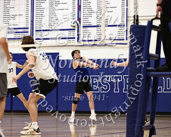 WHS_vb_b_v_21