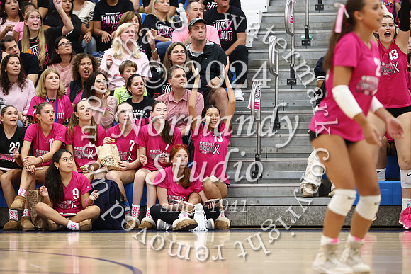 WHS_vb-pink out_57