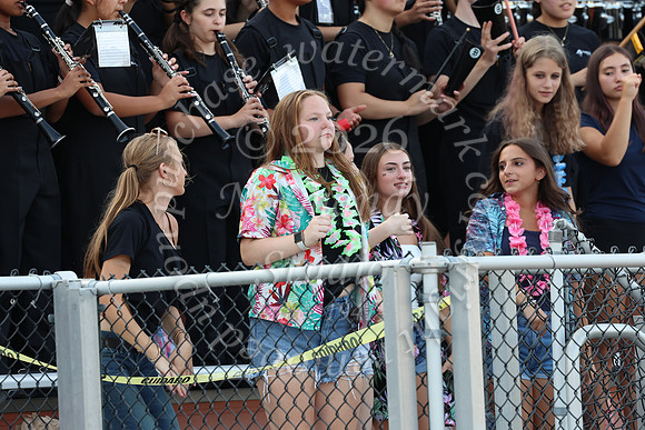 SVL_mb_in_stands_33