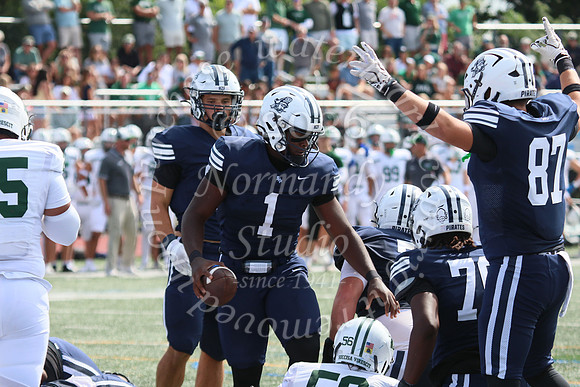 SHP_fb-v_41