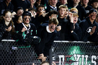 RDG_fb_fans_17