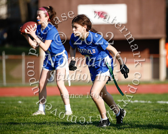 WHS_flag_fb_61
