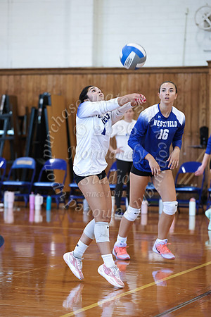 WHS_vb_g_-31