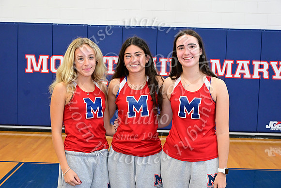 MSM_cc-t_07