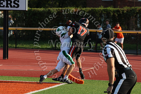 SVL_fb_046